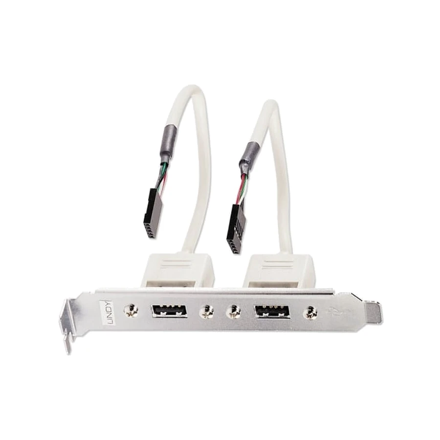 Lindy 2 Port USB 2.0 PC Back Plate