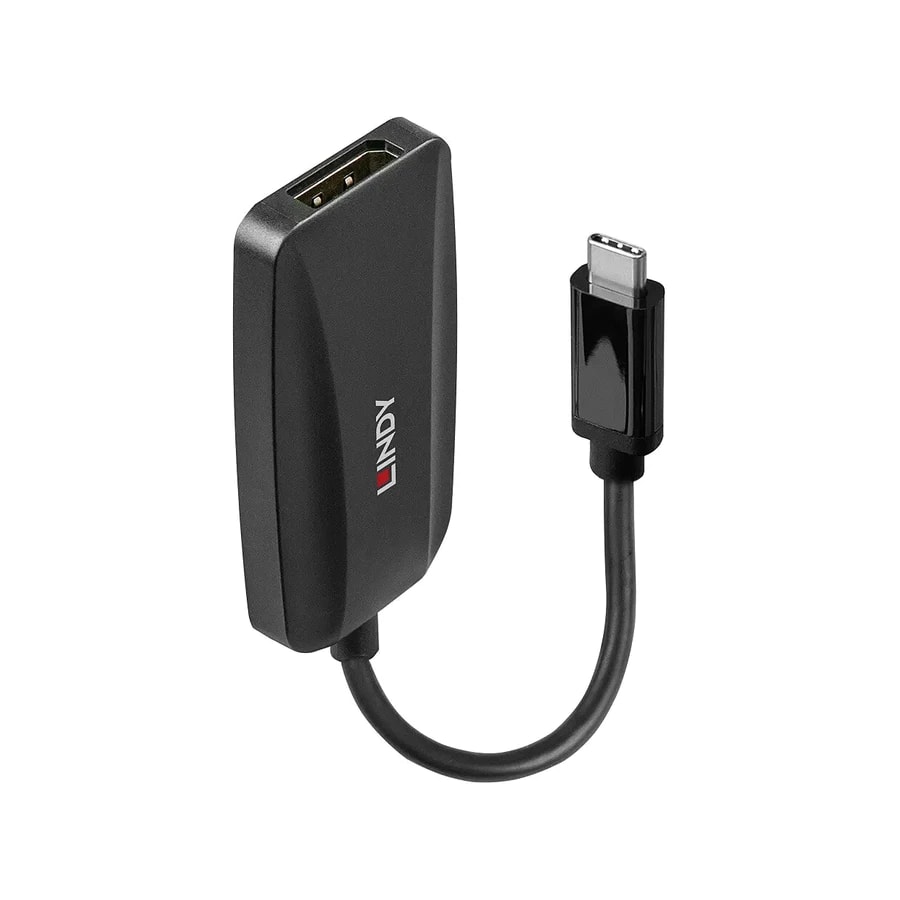 Lindy USB Type C to DisplayPort 8K60 Converter, product photo