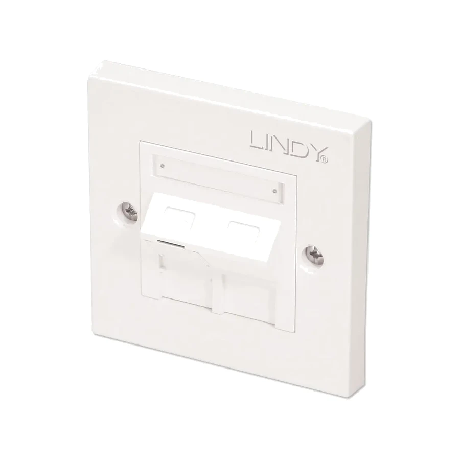 Lindy CAT5e Single Wall Plate with 1 (60568), product photo